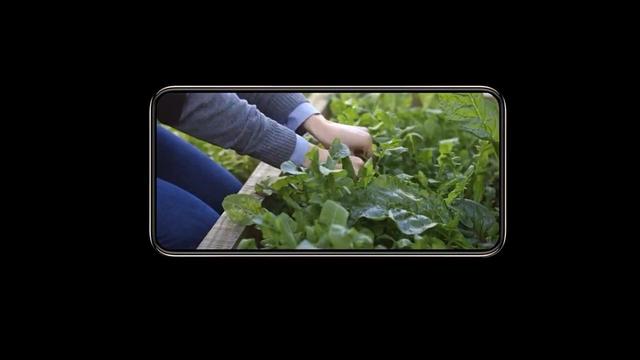 Daquan Keoni Green tweet media