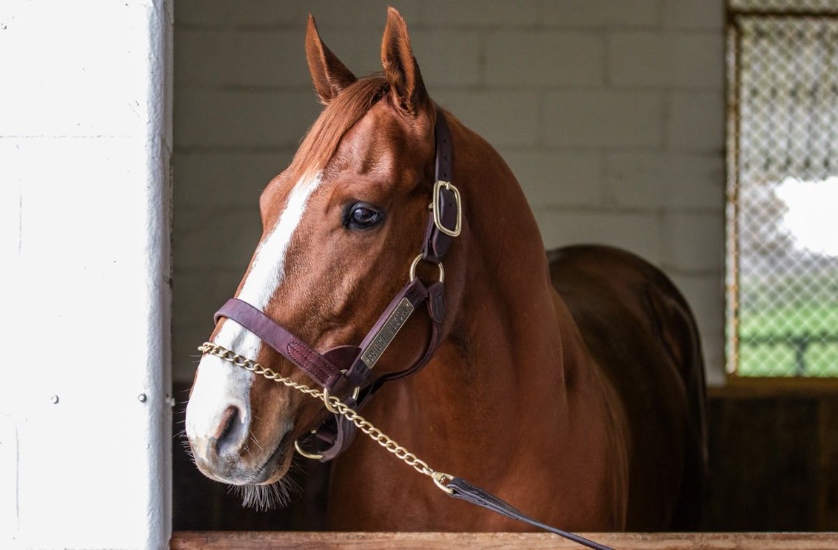 Claiborne Farm tweet media