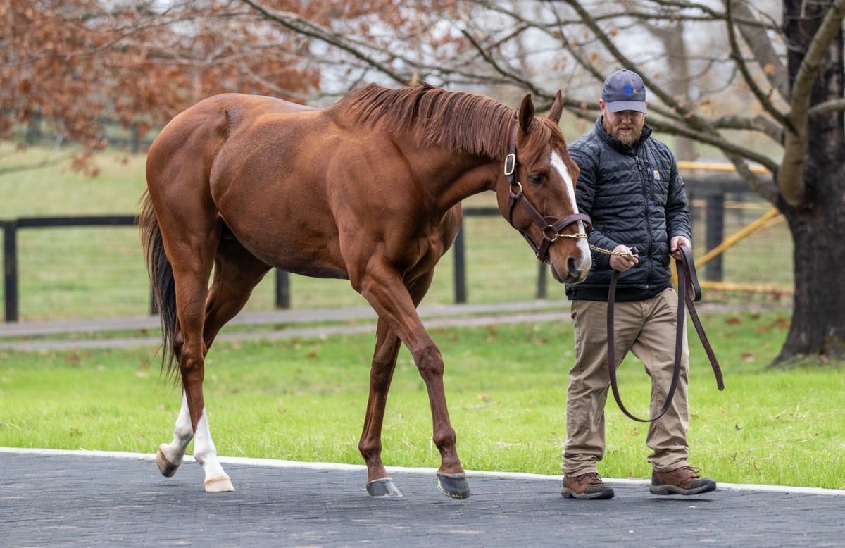 Claiborne Farm tweet media