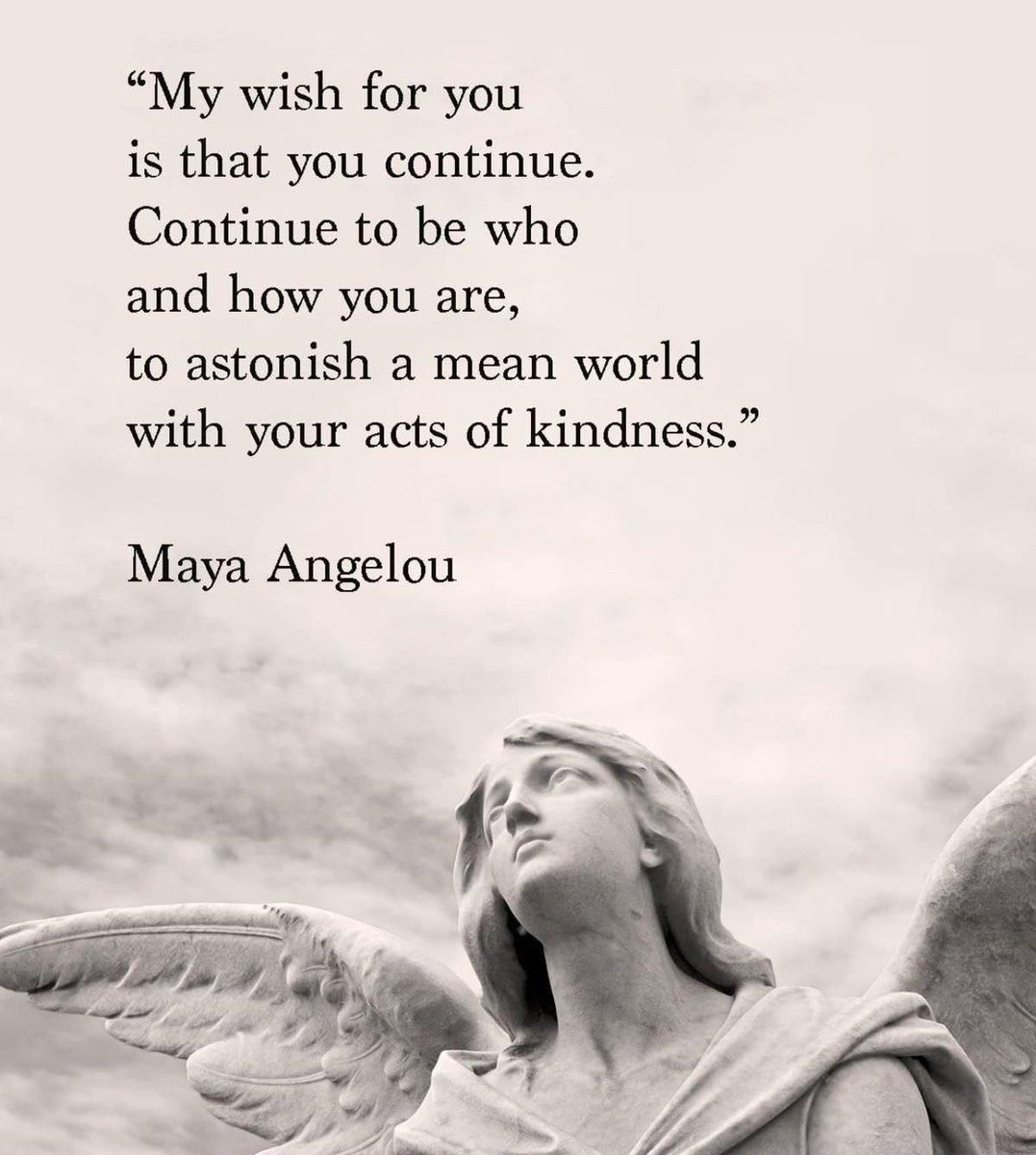 ❤️🩹Rocco DiBari❤️🩹 tweet media