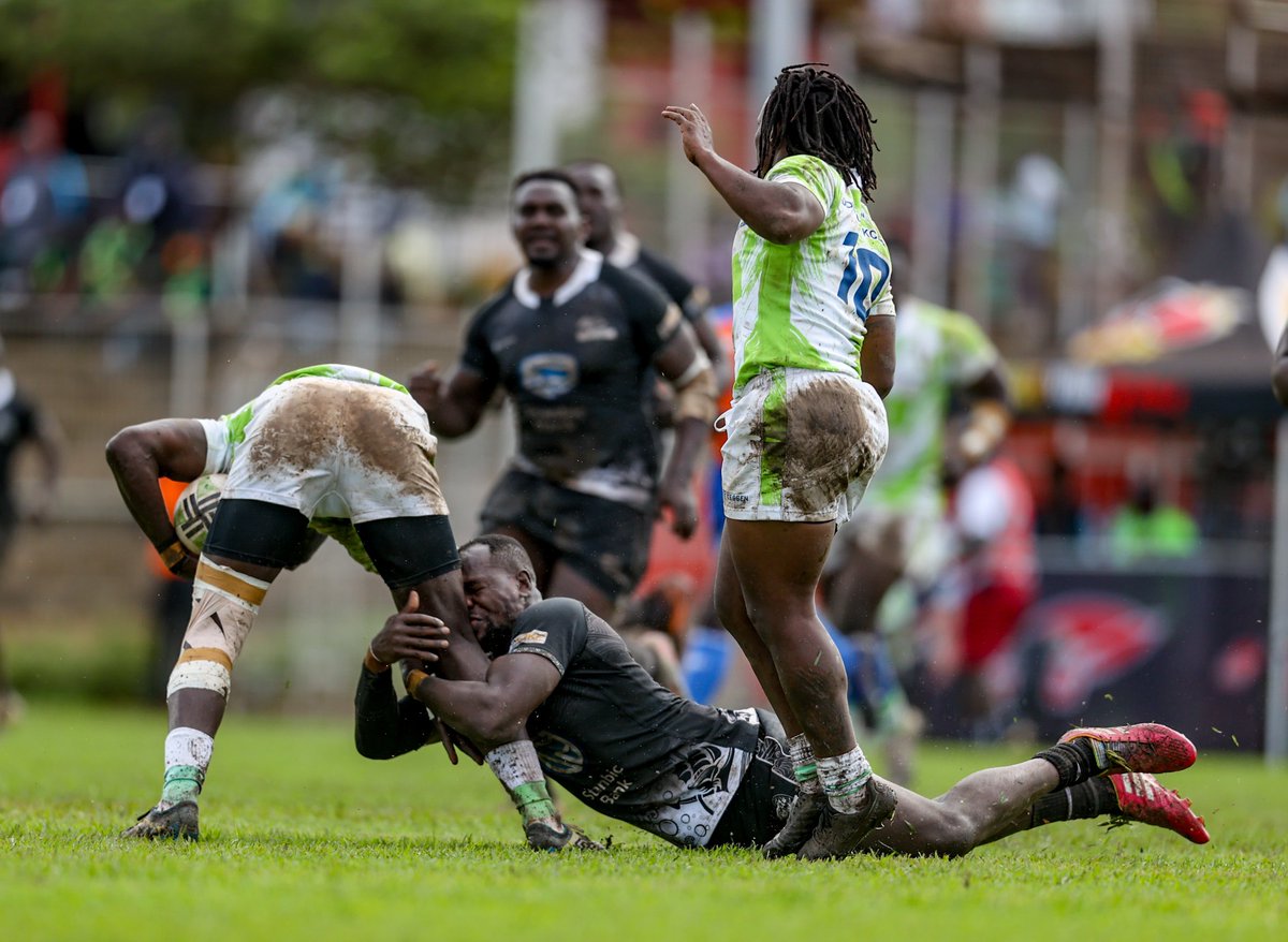 Fat Cats Podcast 🏉🎙️ tweet media