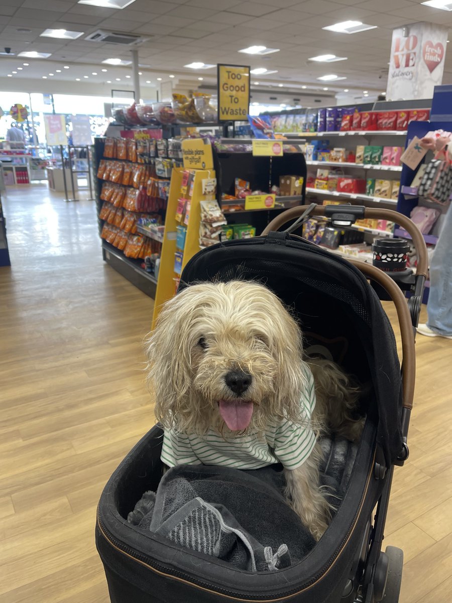 Lord Alfred’s Diary tweet media