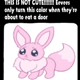 仙焰✧ tweet media