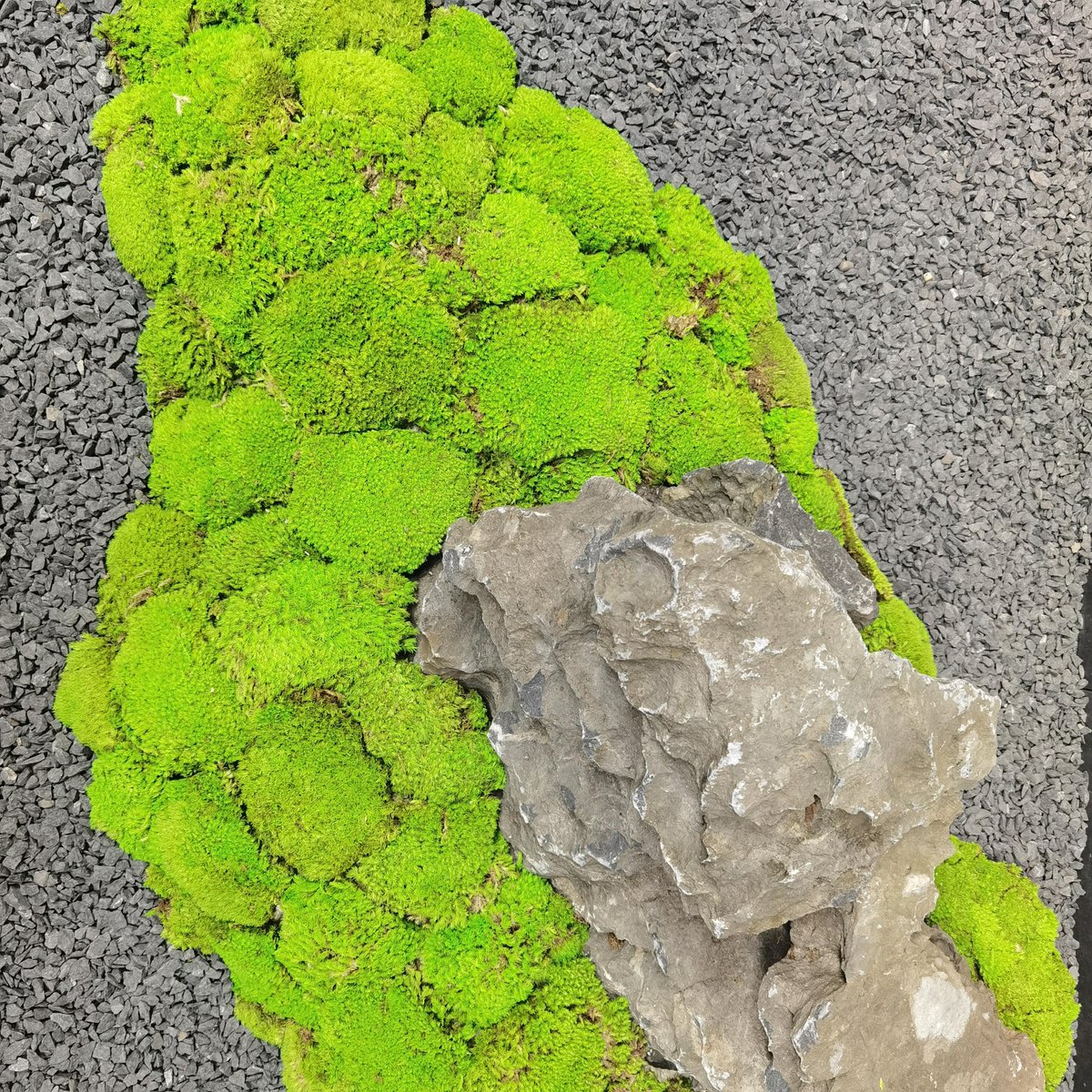 kenneth gabriel tweet media