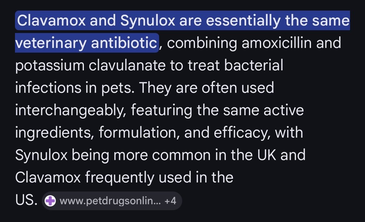 ©️Mischief & Mayhem! Hannah’s fur family 🥰 tweet media