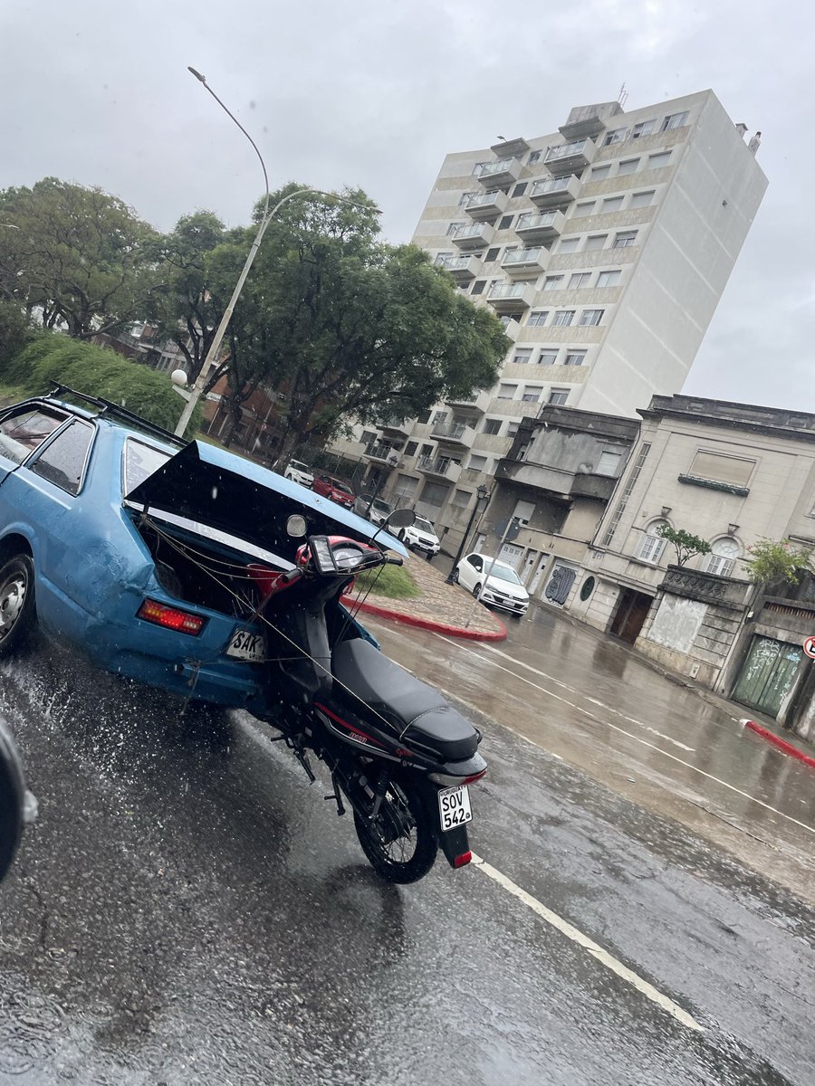 💫𝐏𝓊𝓃𝓎✨ tweet media