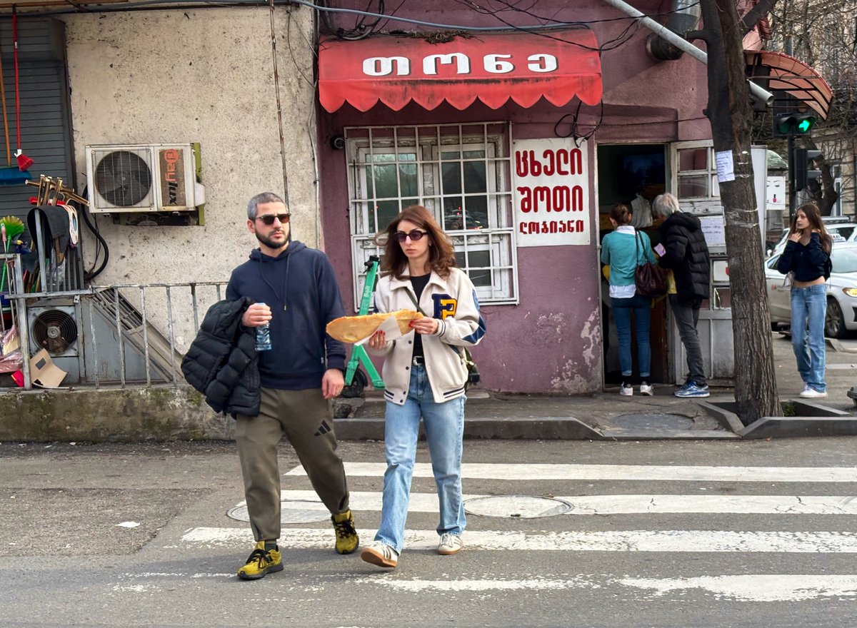 коренастая птичка tweet media