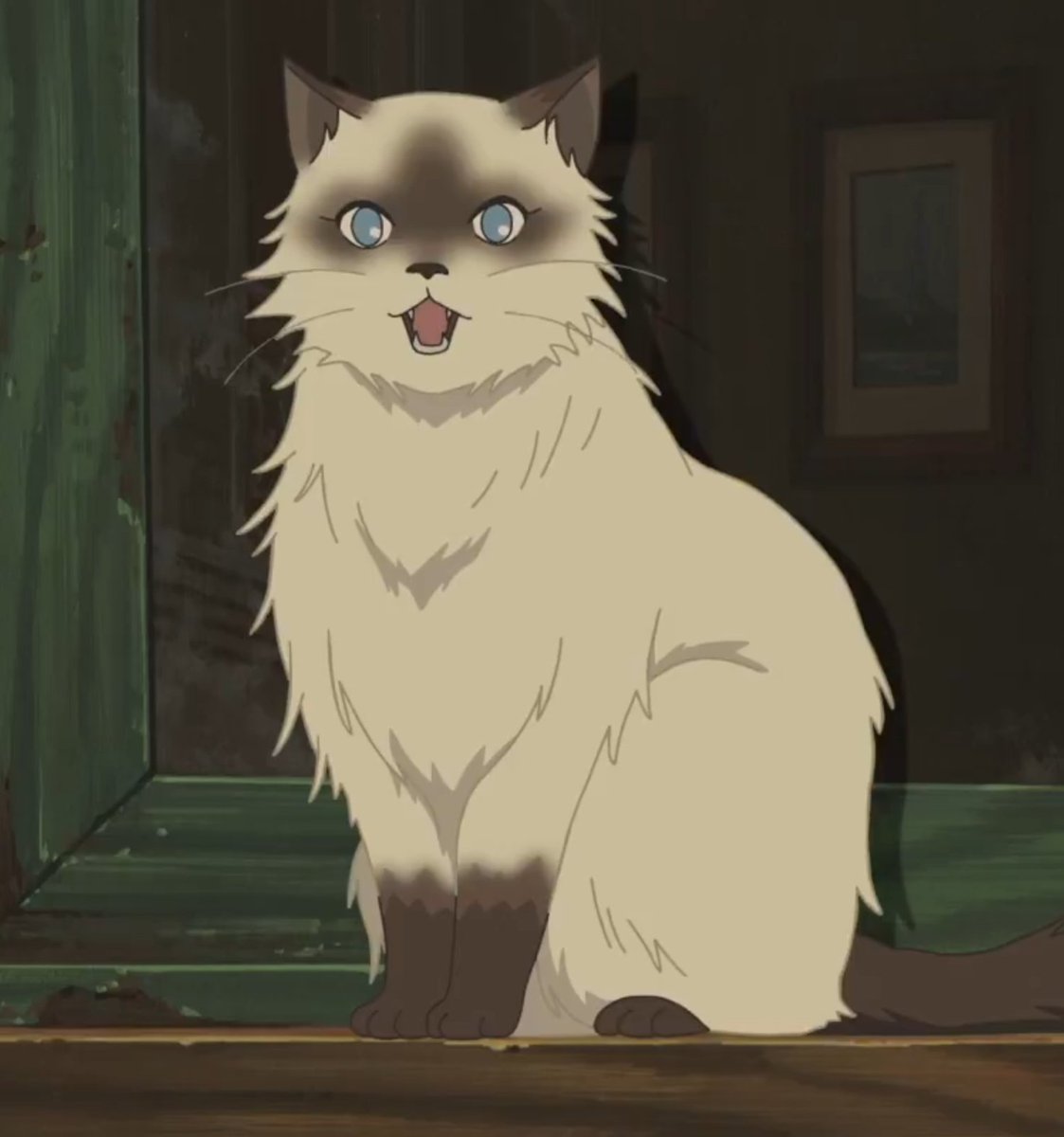 ジャンヌさんの飼い猫のグリブイユ、実は一押しだったりする。
 #パリに咲くエトワール