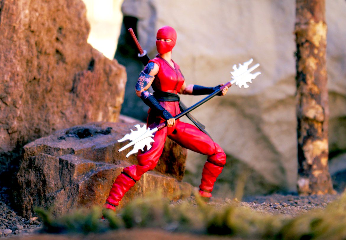 MrMikeVInThePit's tweet photo. #gijoe #classified #jinx
#actionfigures #toyphotography
#arashikage #yojoe https://t.co/ccixGNR8lg