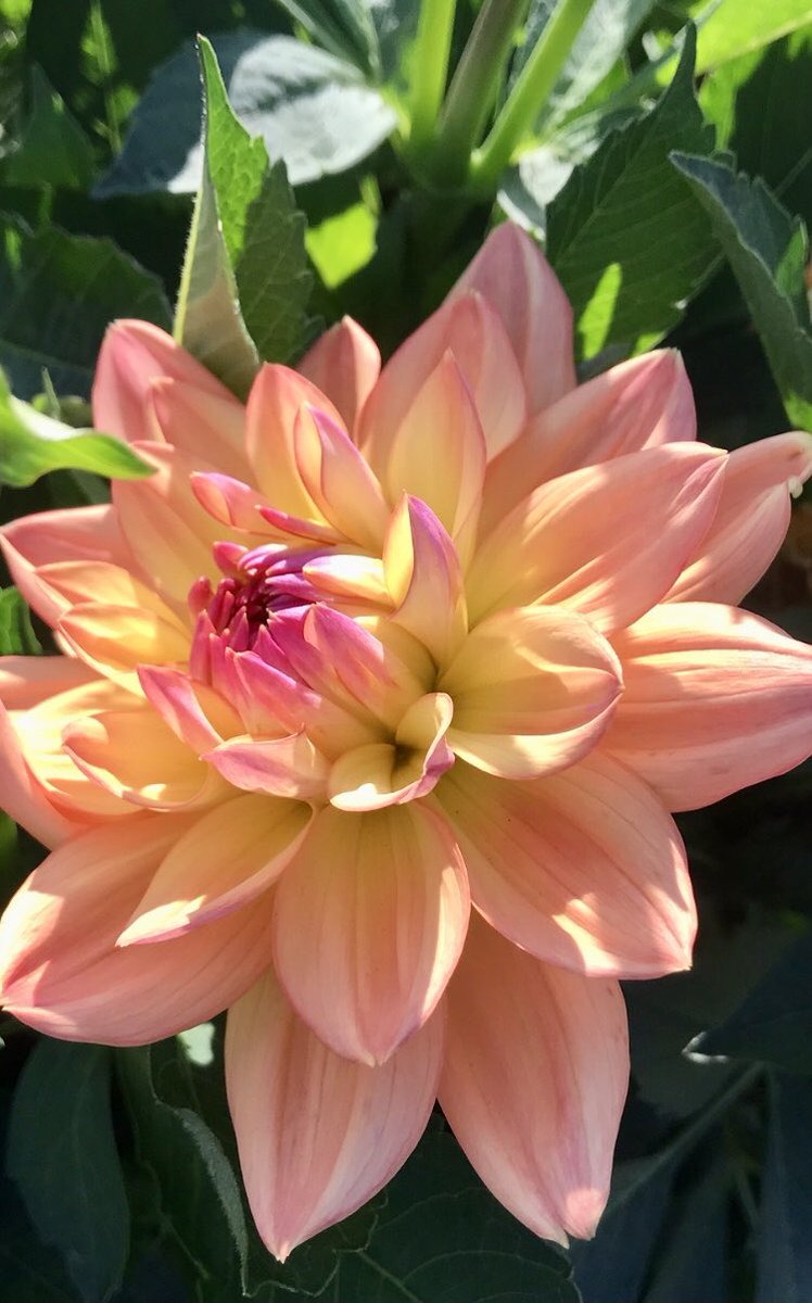 Ulla-Maija Määttä tweet media