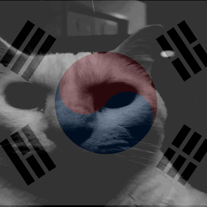 feviknight tweet media