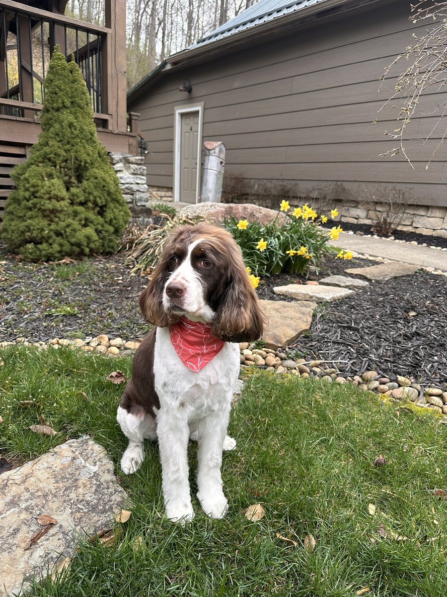 Kevin Frye tweet media