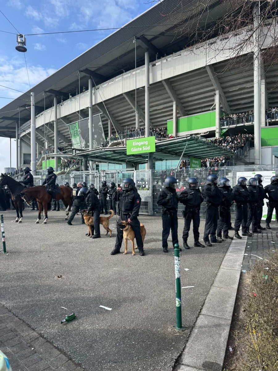 Fussballmafia.de tweet media