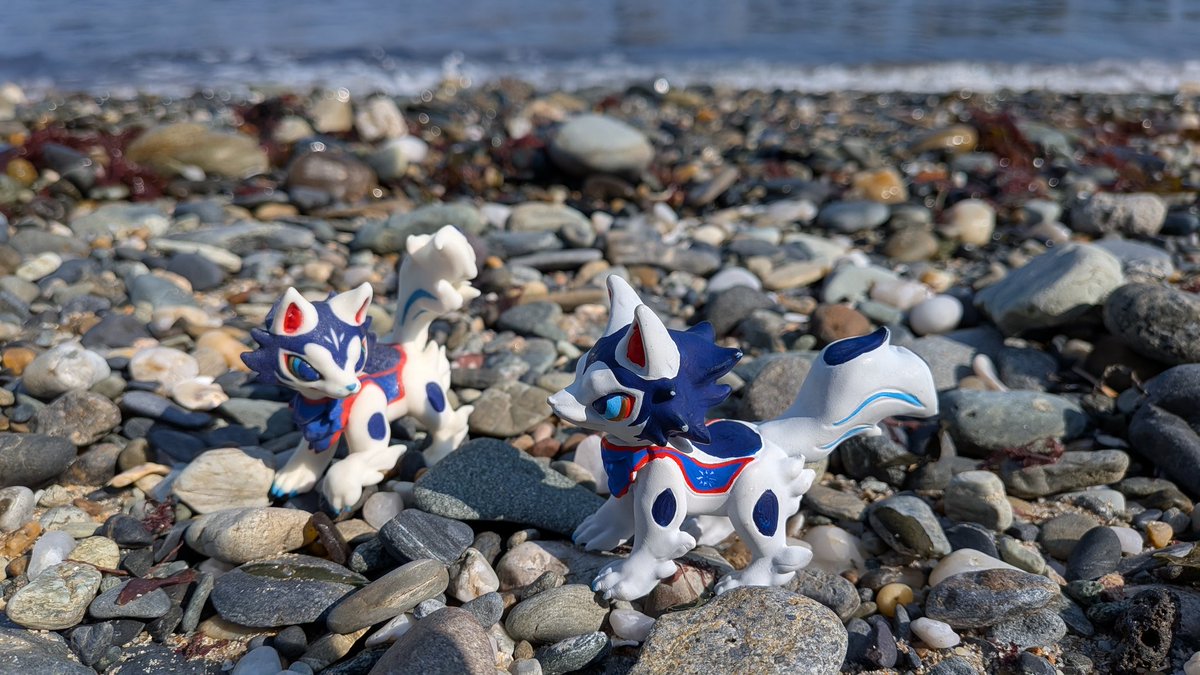 ルガルガンたそがれ tweet media