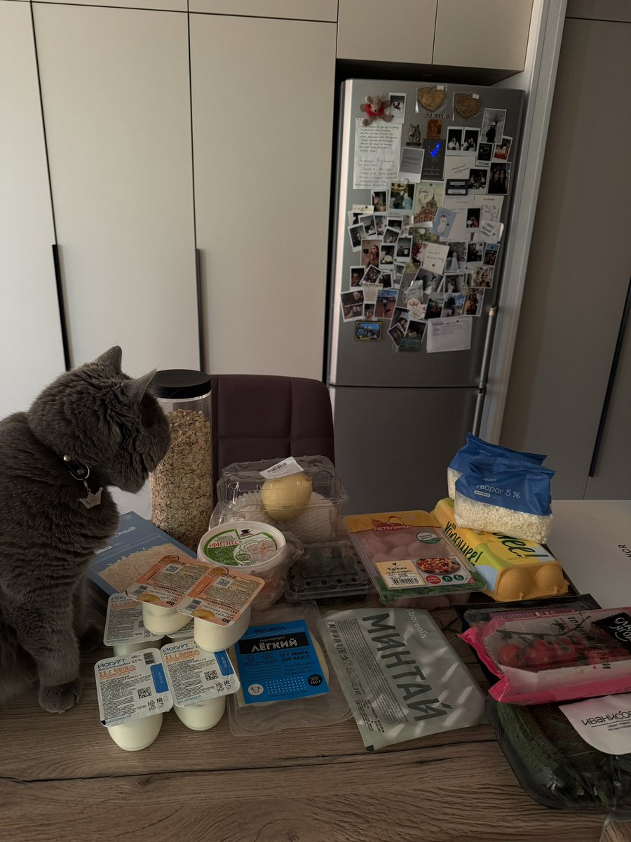 Кошачья Леди tweet media