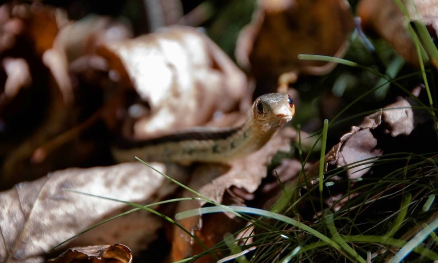 Pattern ⚕ tweet media