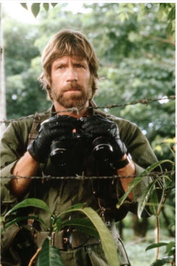 História com Palavrão 🇧🇷 tweet media