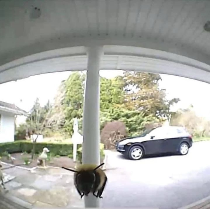 rio 🪲 bug oomf tweet media