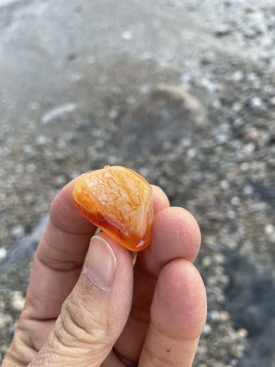 lunarfq's tweet photo. THIS IS A SIGN THAT YOU ARE ABOUT TO BECOME DEBT-FREE! MONEY IS CONSTANTLY FLOWING INTO YOUR LIFE! https://t.co/M6lTk5JLLB