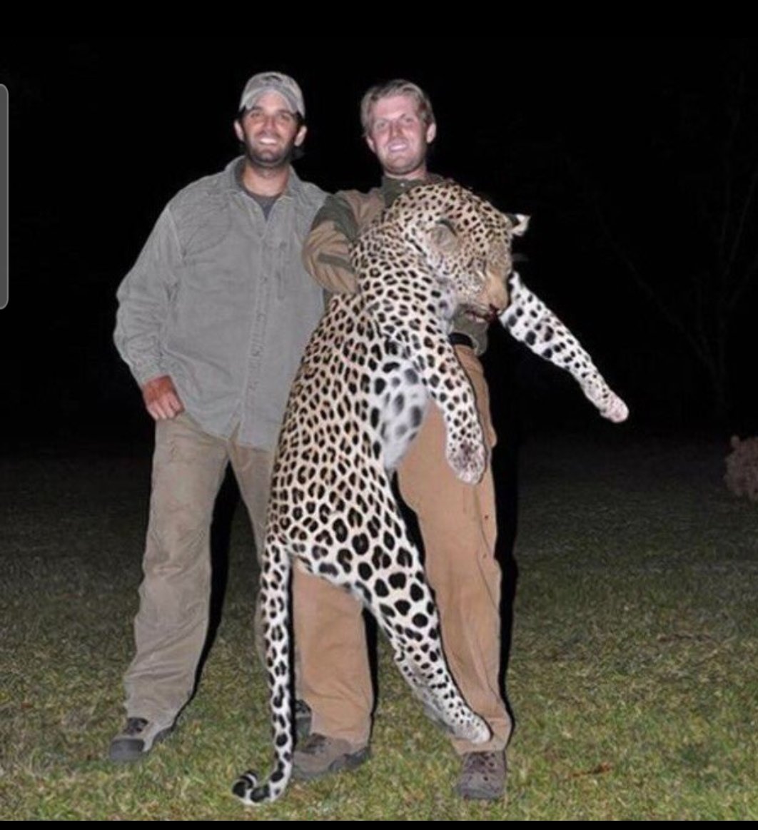 Neal Rudin tweet media