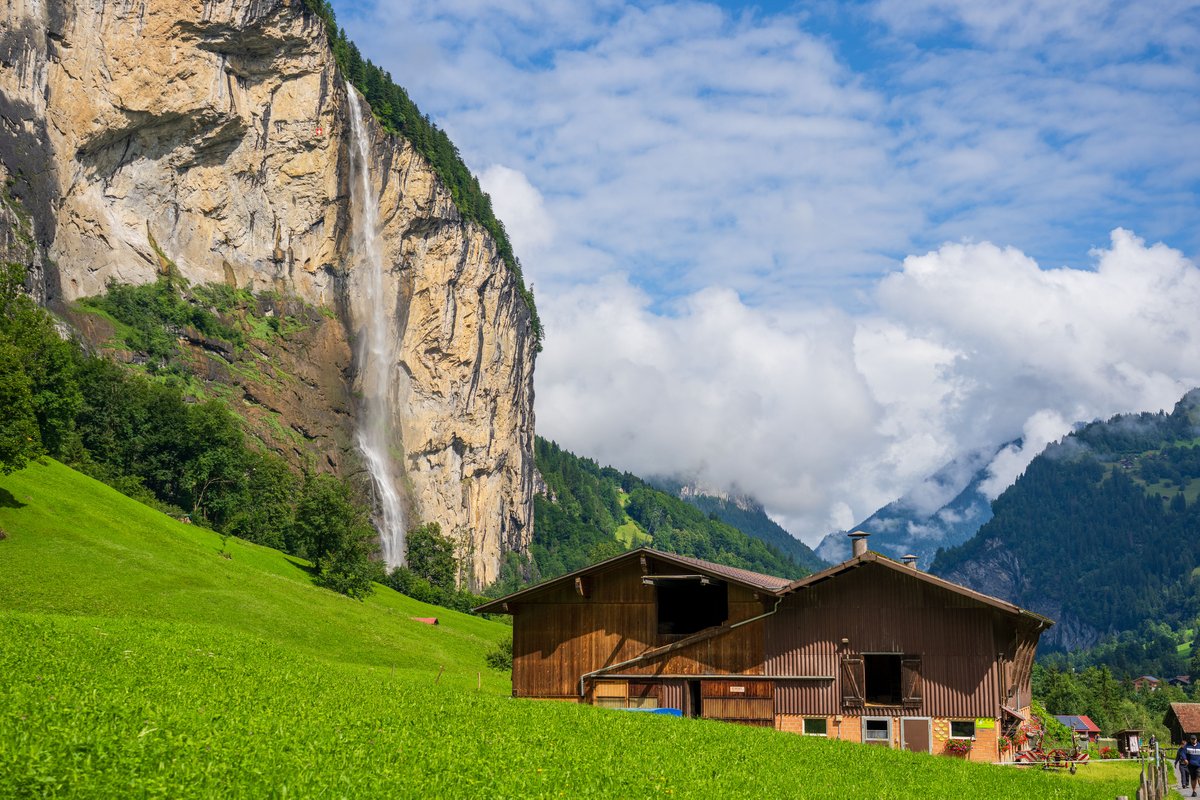 meshal 🇰🇼 tweet media