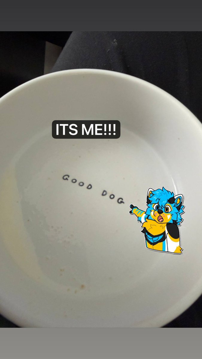 RexTheFluffyDoggo tweet media