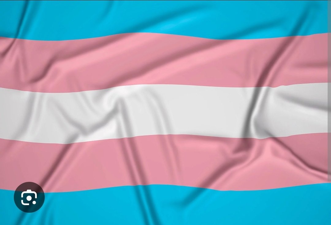 DavidHa06983360's tweet photo. @OlliOlligame @MCV_DEVELOP The entire game is a tranny flag lol https://t.co/j02pgJfESw