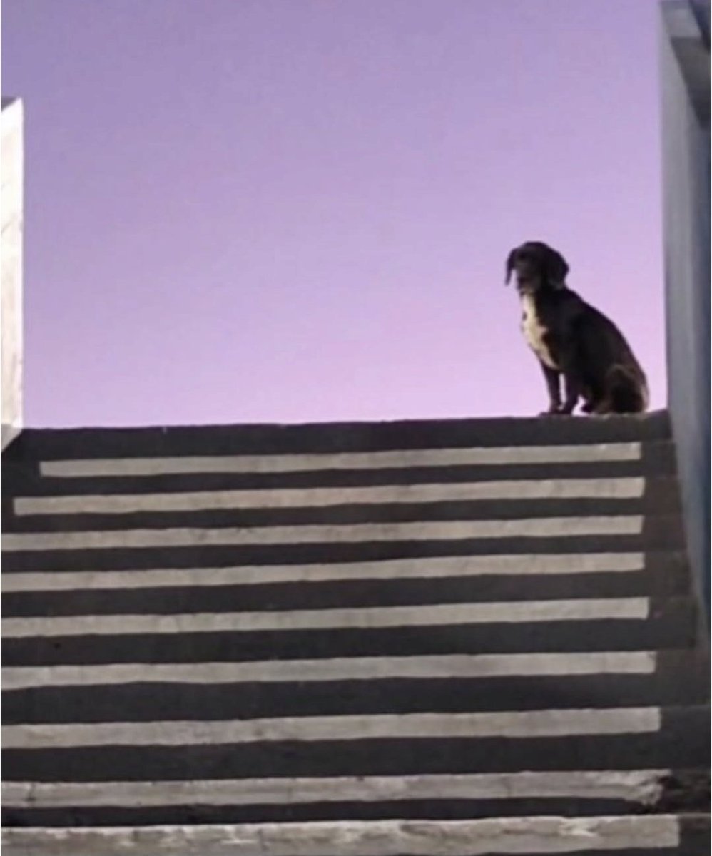 El anestesiador 🇦🇷 tweet media