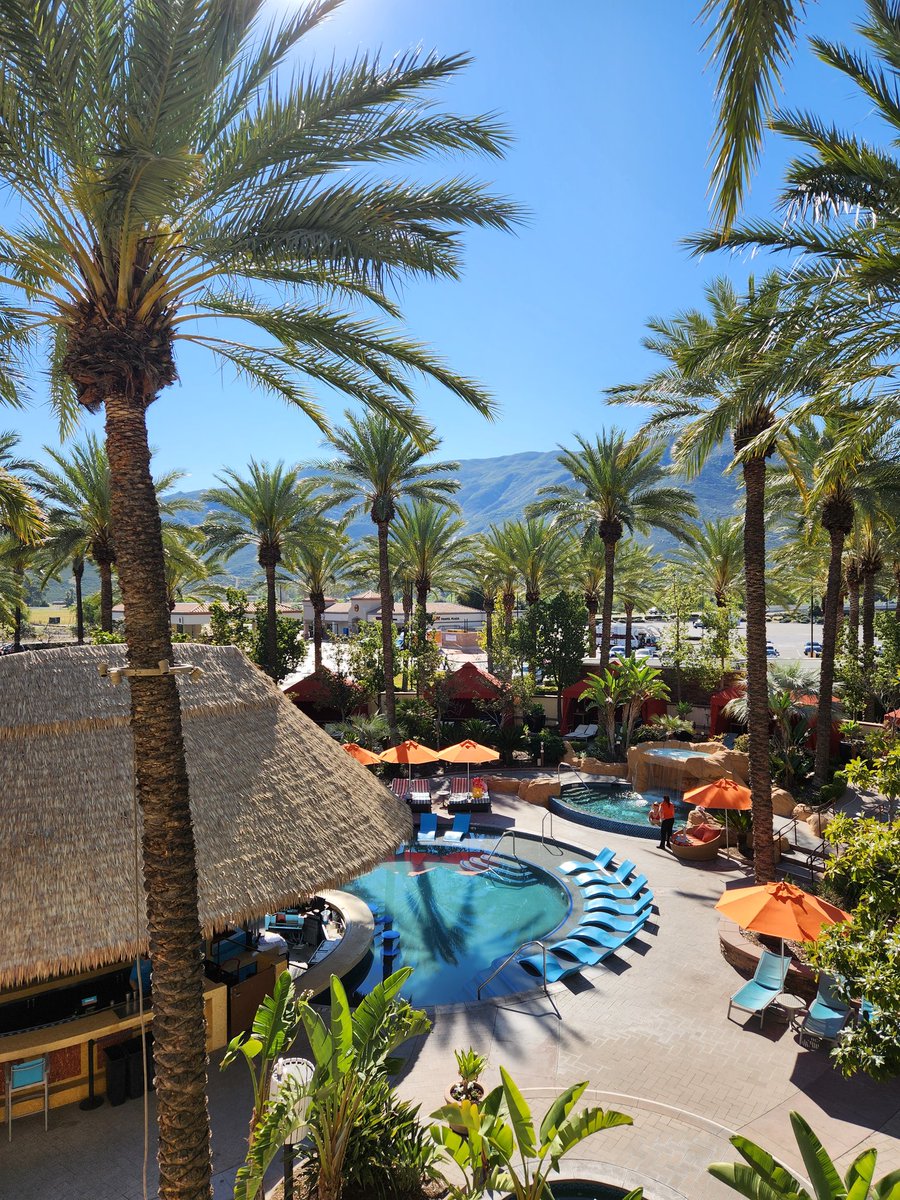 Strictly 4 My X’ers tweet media