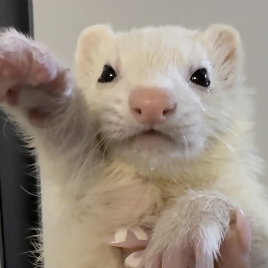 팥찐빵 찌는 중 👩🏻‍🍳💭 tweet media