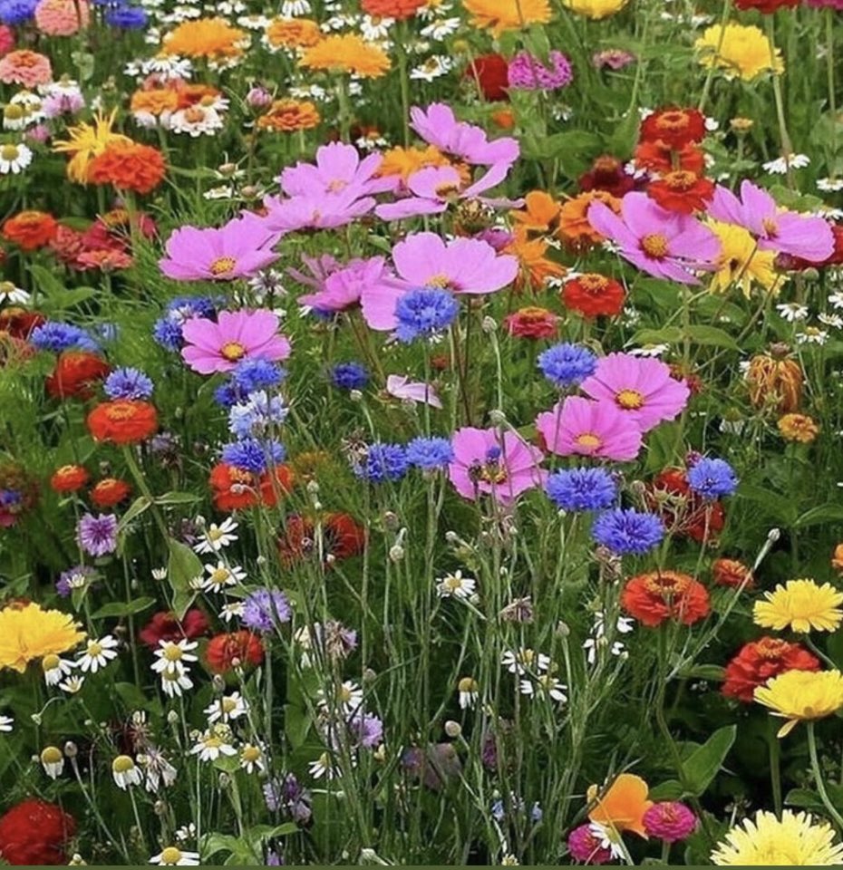 İsmail Bulut tweet media