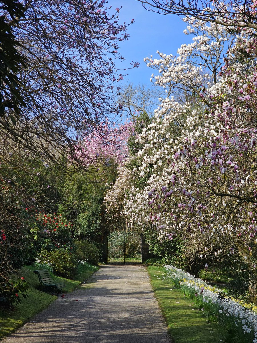 Neale Smith tweet media