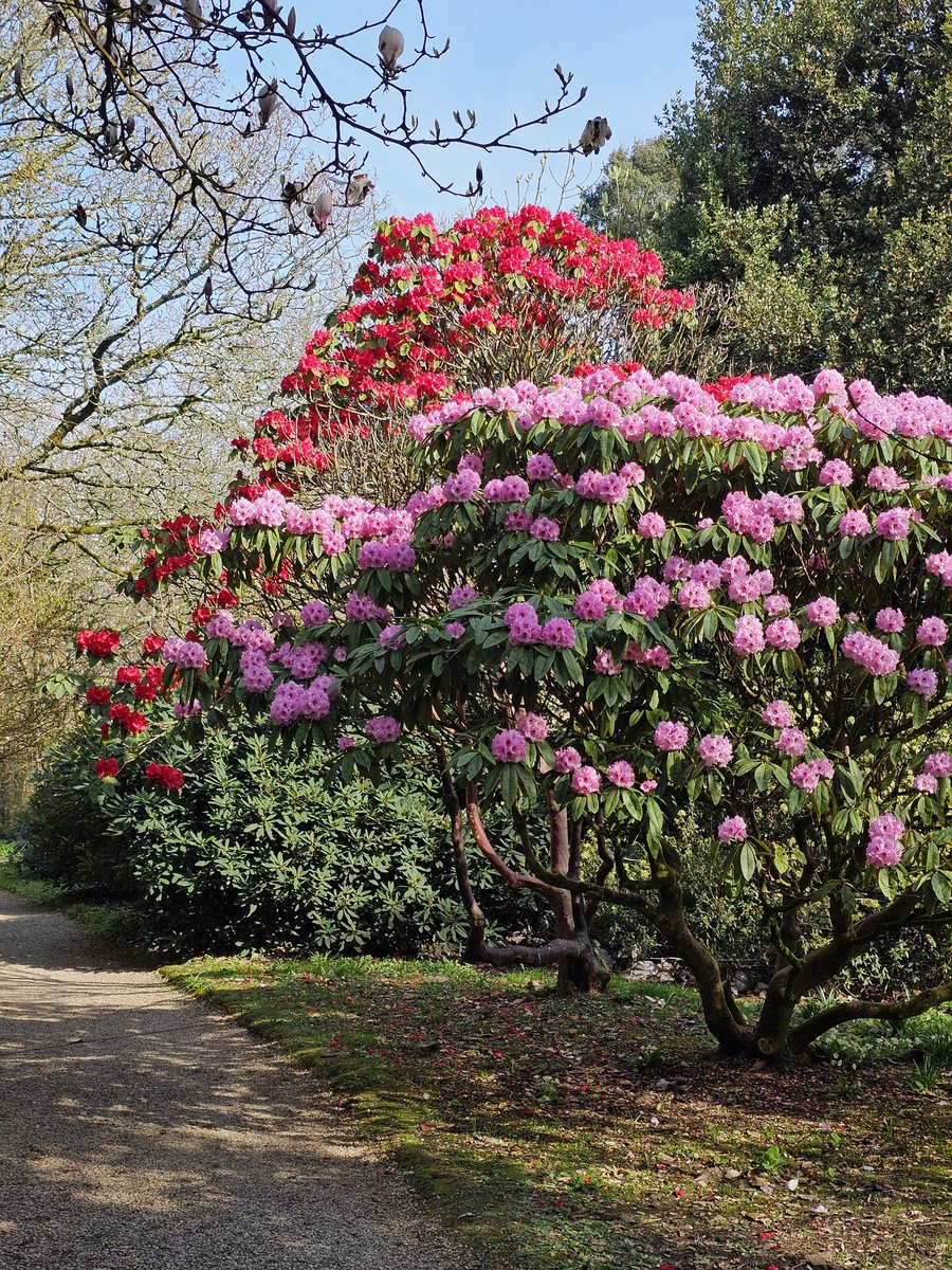 Neale Smith tweet media