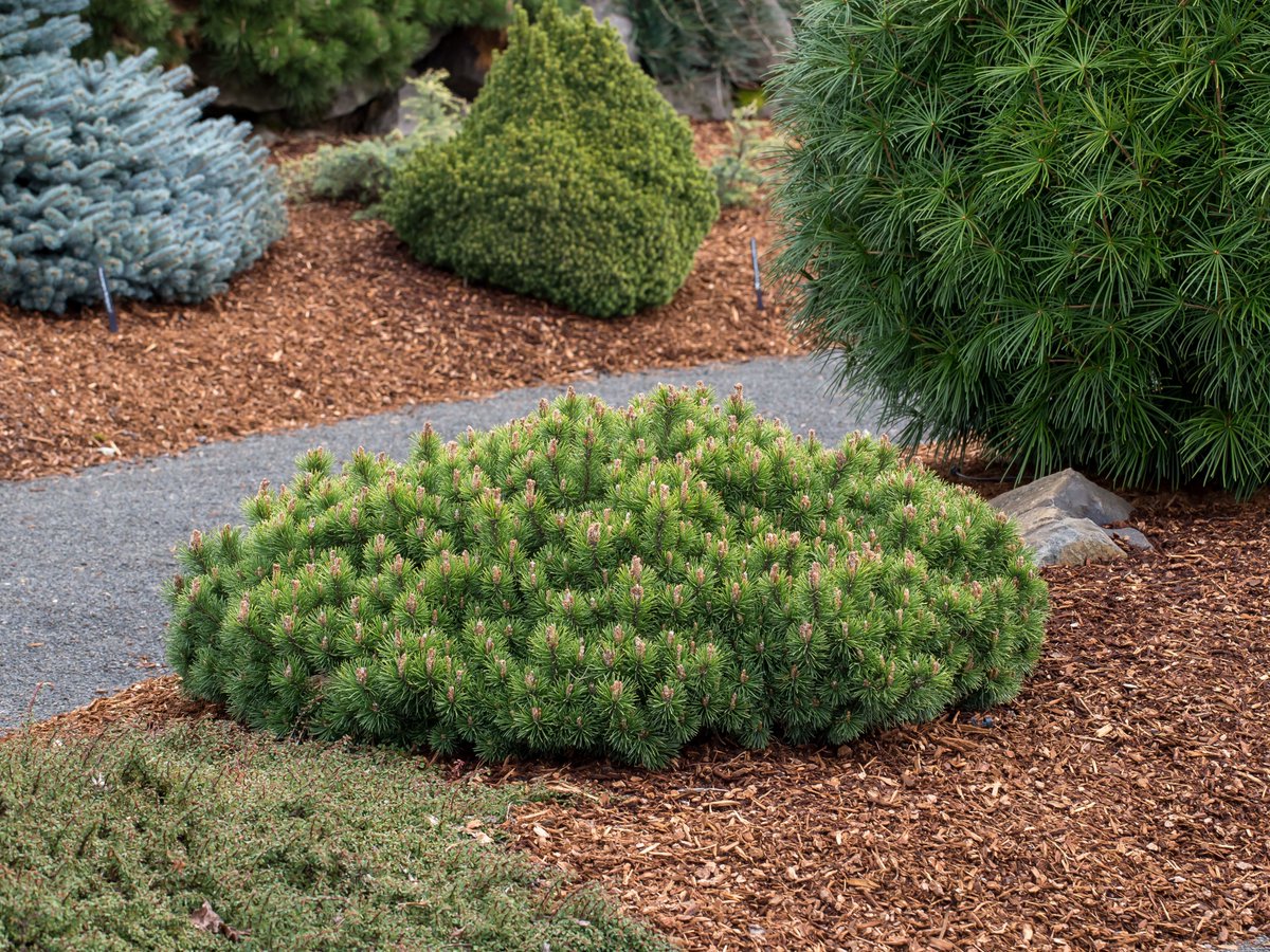 Colleen Zacharias tweet media