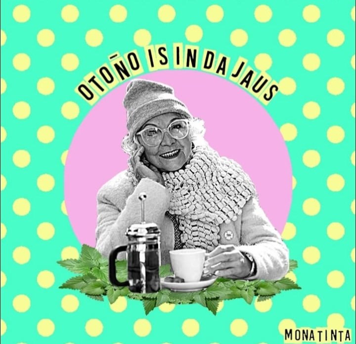 Flor 🇦🇷 tweet media