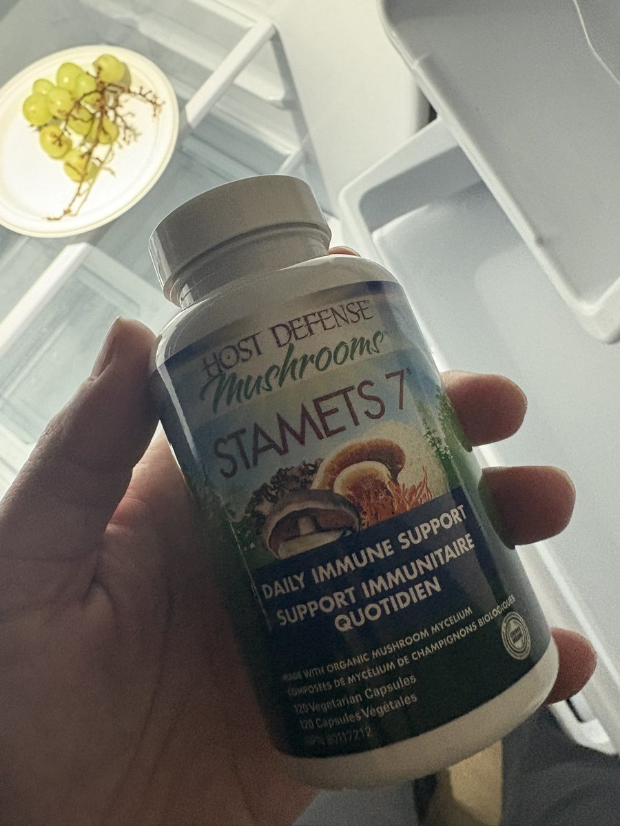 Tree 🌲 Lake 🦆 Rain tweet media