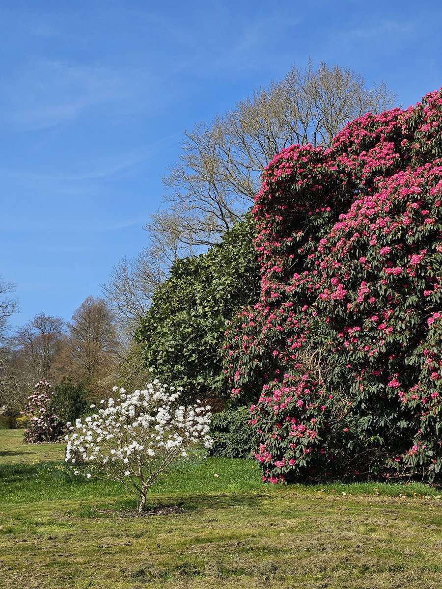 Neale Smith tweet media