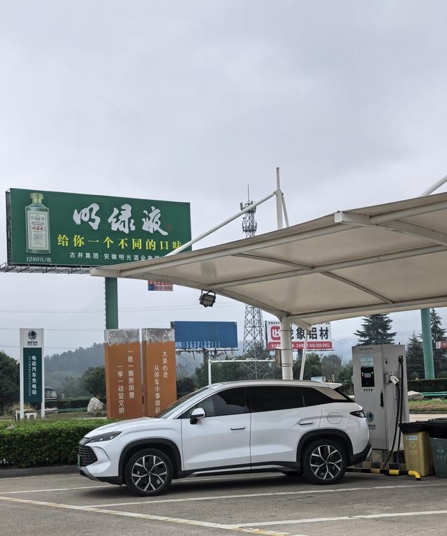 Wanderwit tweet media