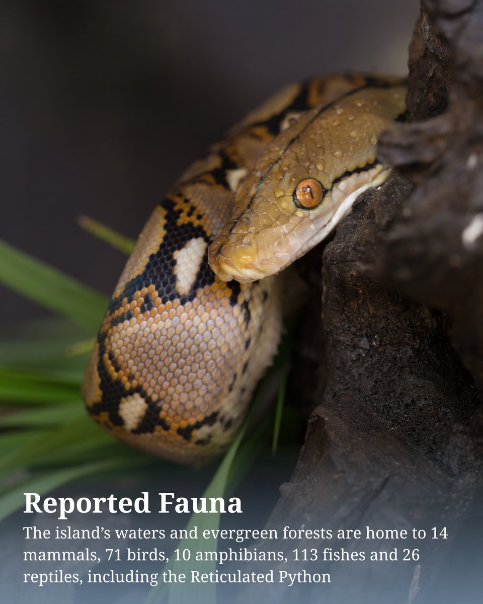 UNESCO South Asia 🏛 #Education #Sciences #Culture tweet media