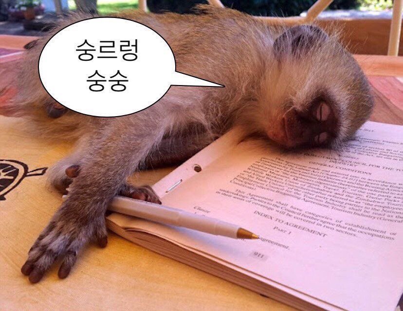 zankalle's tweet photo. 트친들,, 나 공부 6시간 햇어
내일 순공 10시간 채우게
아까 게시물에 댓글 단 트친들
내일 다 가방돌게 ‼️‼️
ㅜㅜ 시험 얼마 안 남앗끼
끝나고 재밋게 놀쟈 💕💕
잘자잇 https://t.co/etUpkPdkLR