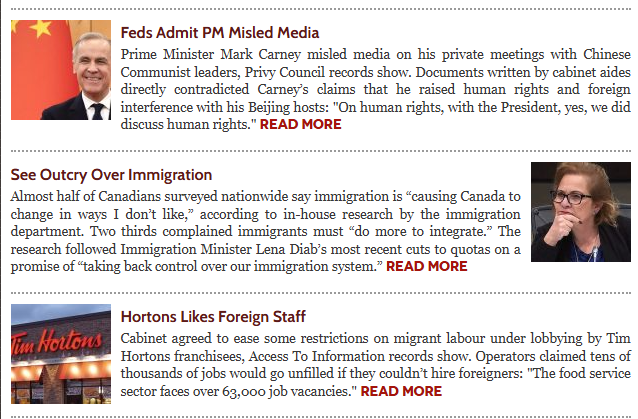 Canadian Gray Man tweet media