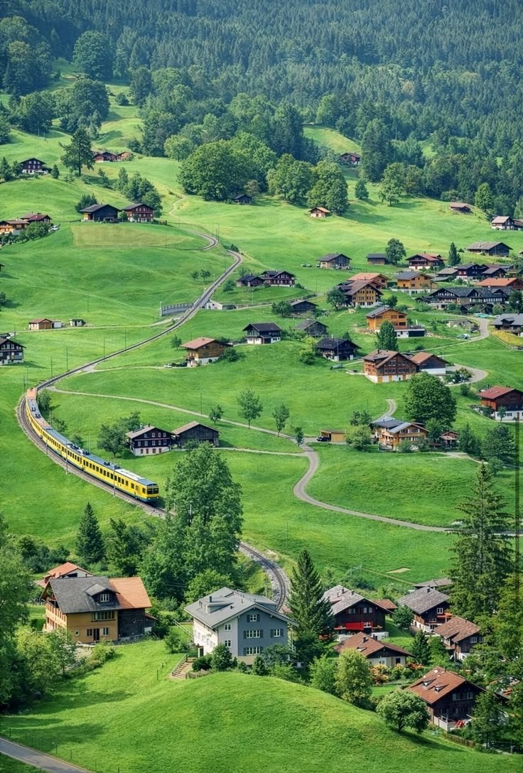 Mountain Cabins tweet media