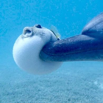 rio 🪲 bug oomf tweet media