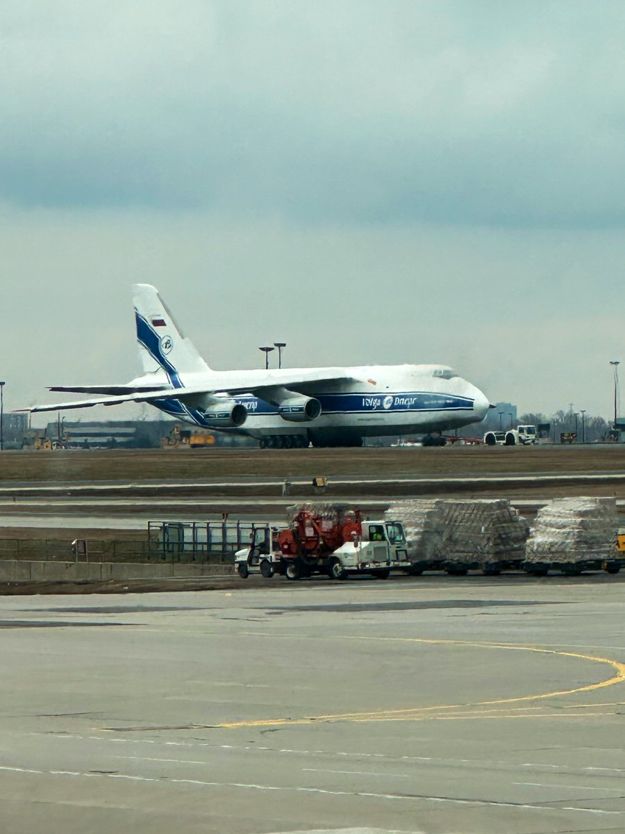 David Z. tweet media