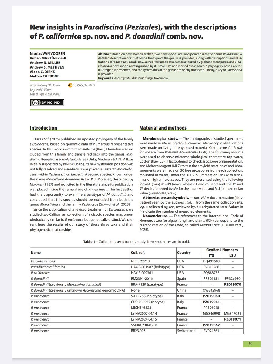 New discovery under the microscope by M.Carbone and colleagues