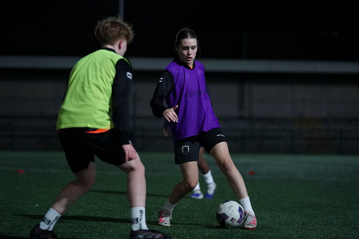 London Bees 🐝 tweet media