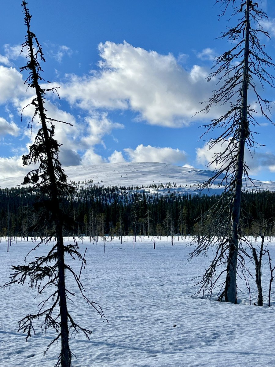 Päivi Ekdahl 🇫🇮🇺🇦 tweet media