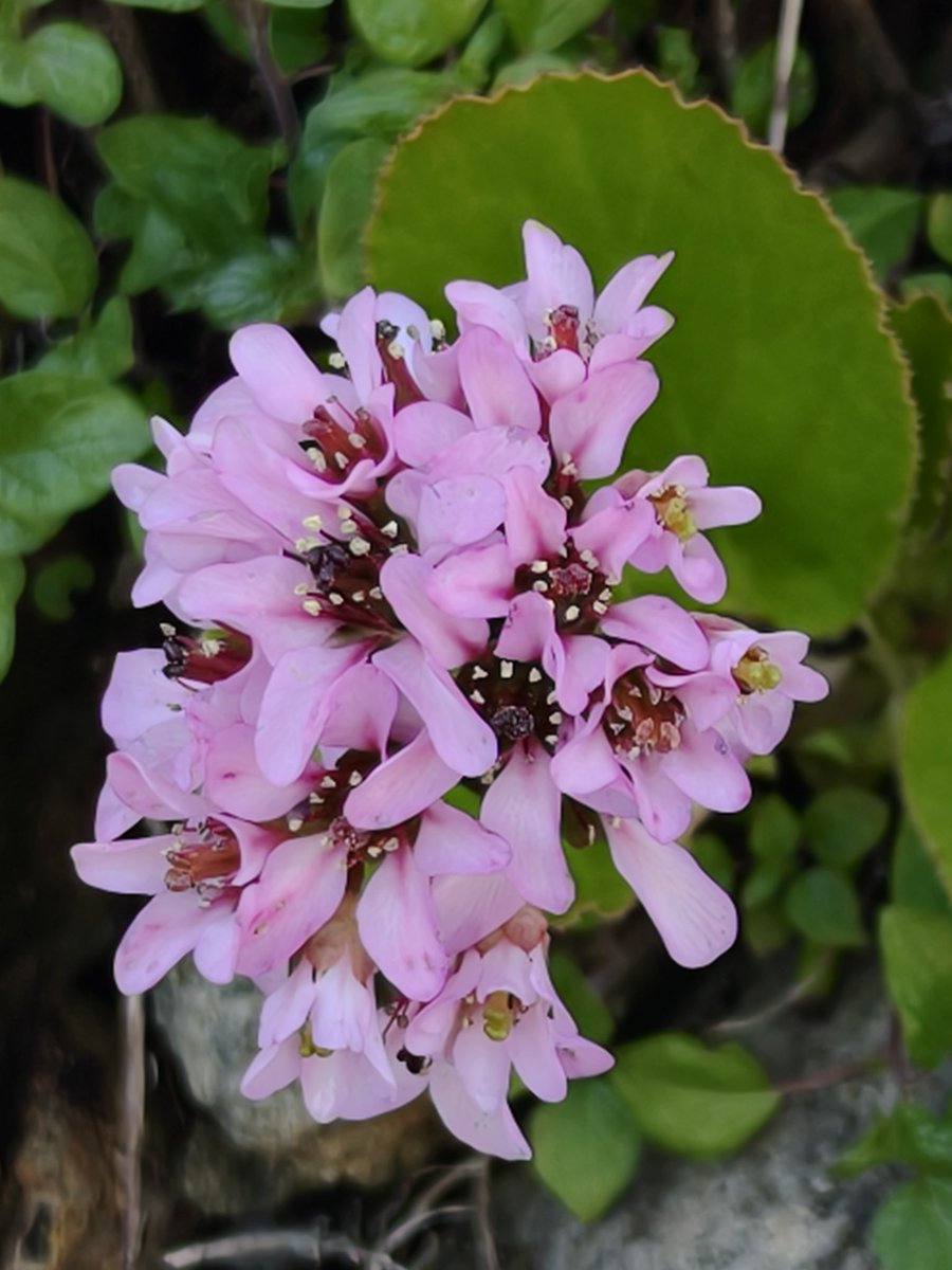 ᴛʀɪᴋʏ tweet media