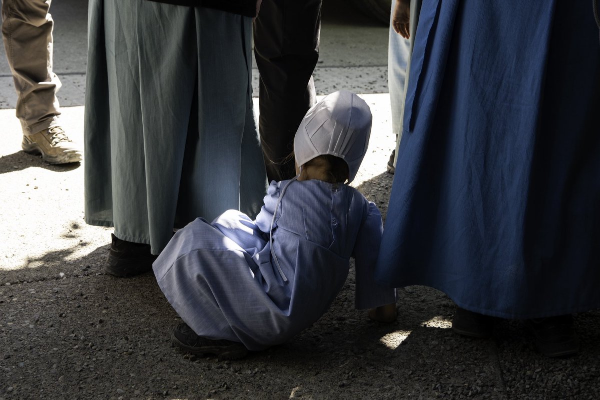 Oliver Dahl tweet media