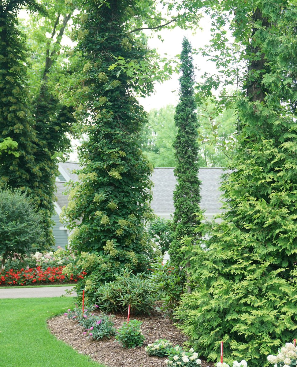 Colleen Zacharias tweet media